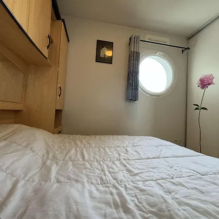 Διαμέρισμα 2 Pieces Avec Terrasse, Piscine, Parking Et Animaux Admis - Fr-1-246-500 *